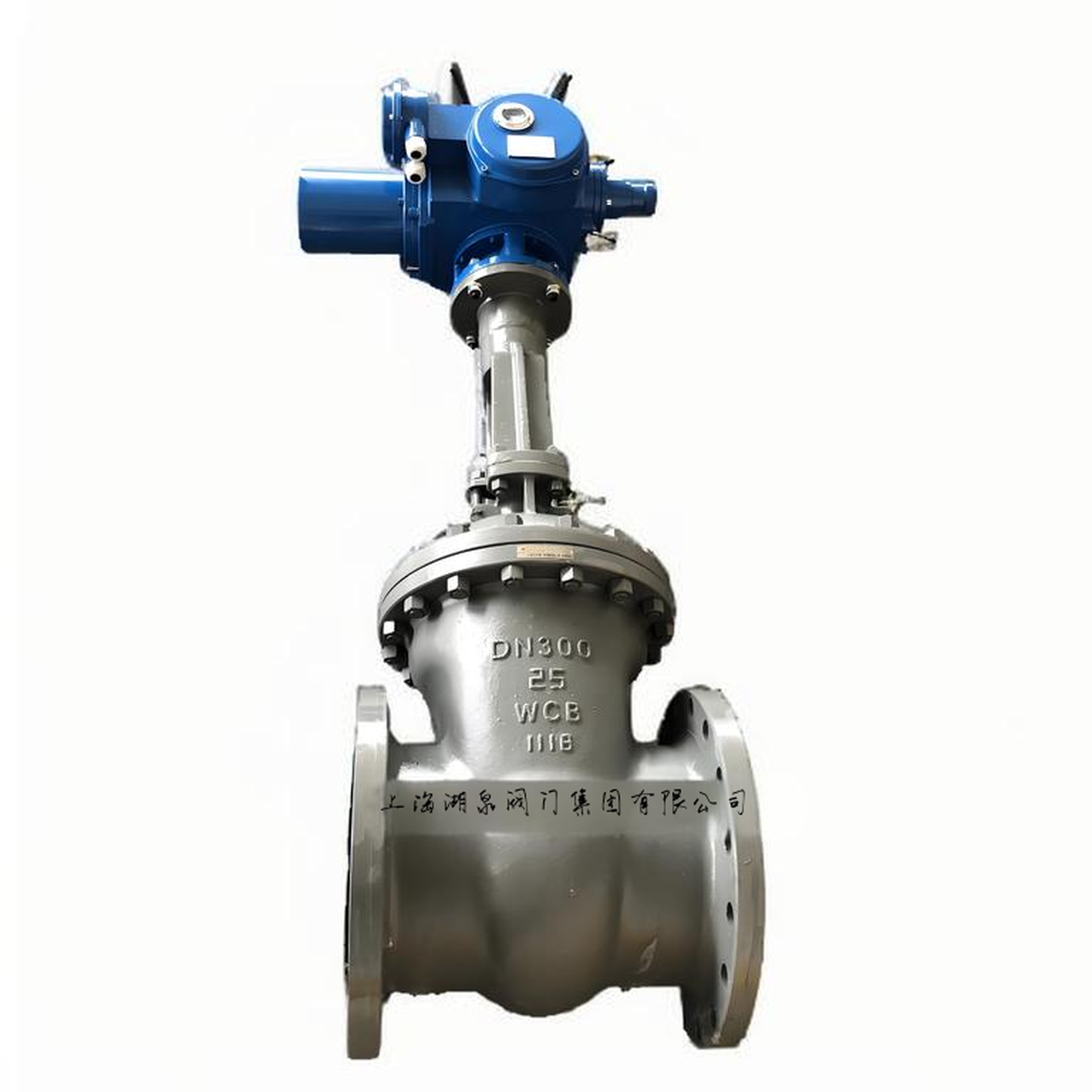 電動閘閥Z941H-16C DN150帶法蘭墊片緊固件