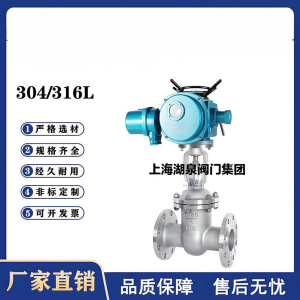 Z941W-16P，DN250，CF8/F304不銹鋼電動(dòng)閘閥