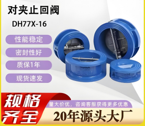 DH77X-16C/DN65蝶式止回閥（水處理區域用）